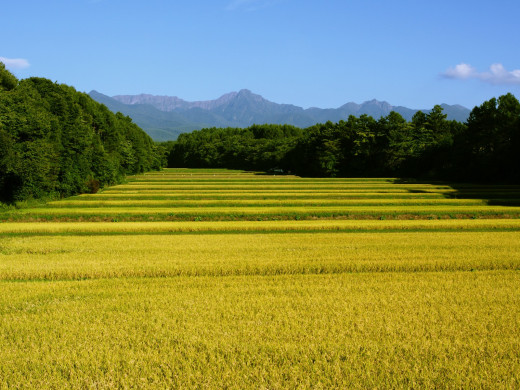 46687 (a): :1600x1200